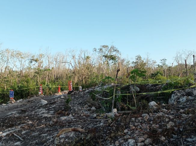 Descubren nueva cueva en 'Playa' en el trazo del Tren Maya
